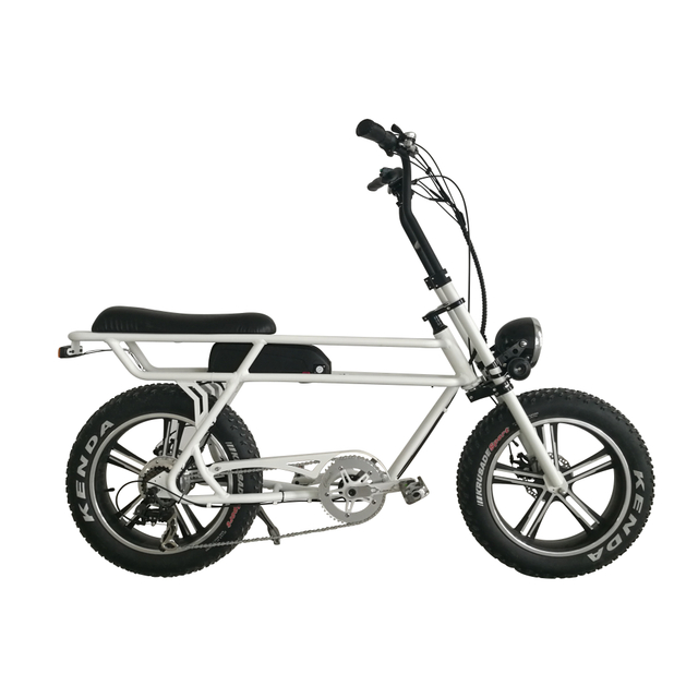 elektrische fiets