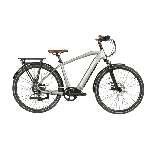 B11 36v 250w stadselektrische fiets