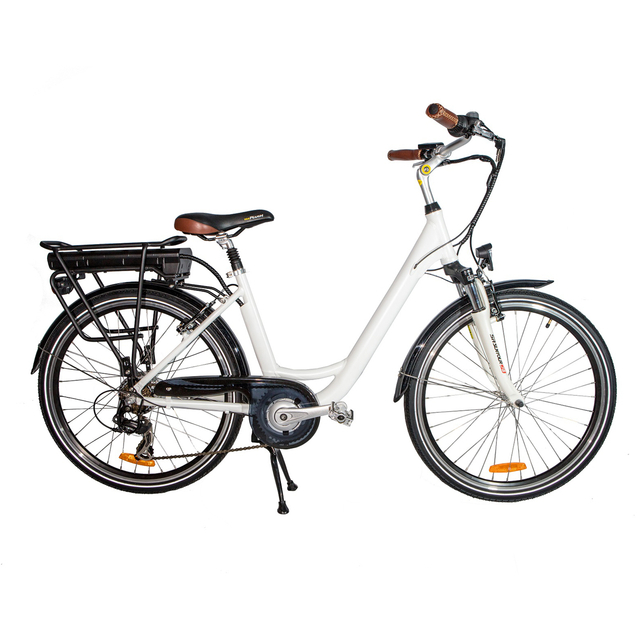 36V 250W 28 inch elektrische stadsfiets met achterwiel naafmotor